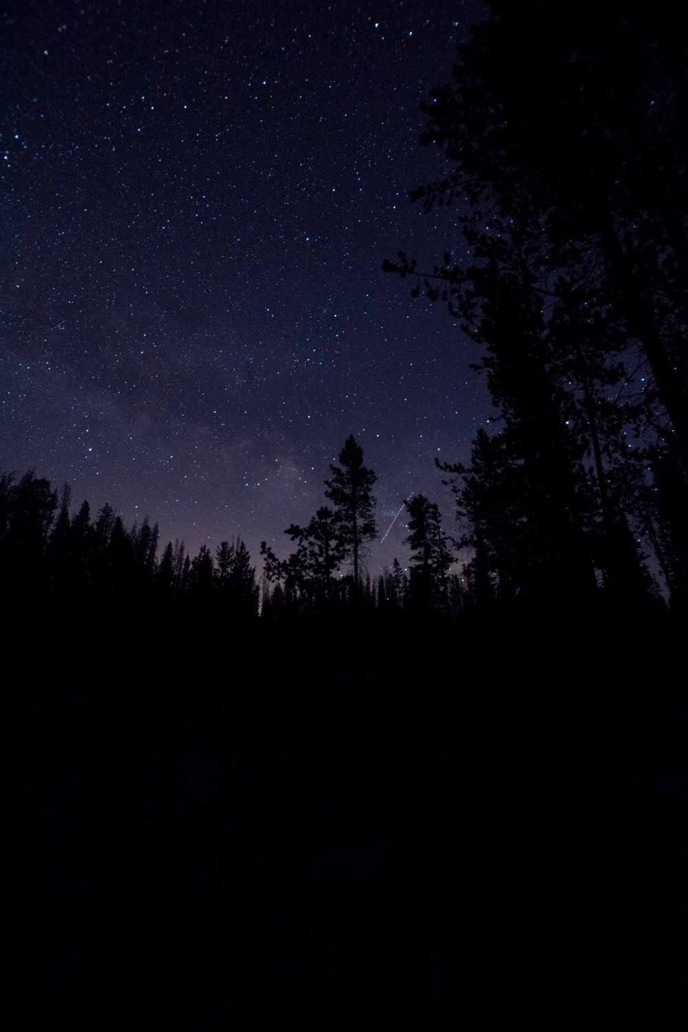 constellation_purple